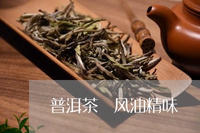 普洱茶 风油精味/2023041016373